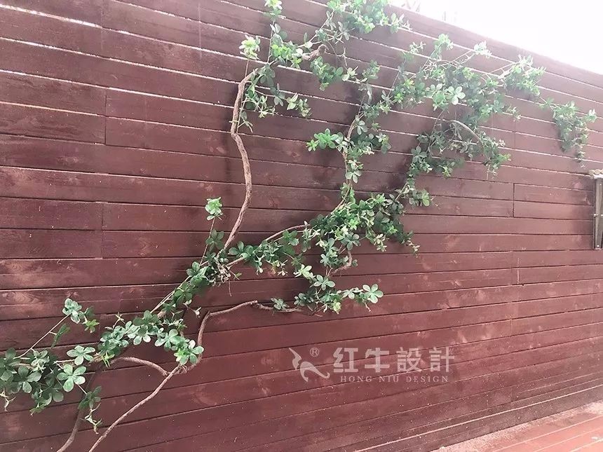 摩登7娱乐 8438a