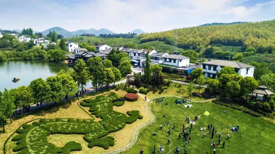 摩登7娱乐团建 | 黄龙岘茶文化村之旅