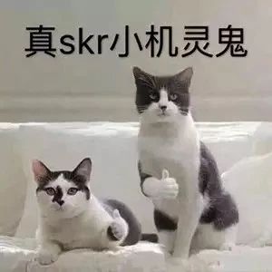 春节发红包 | 体验摩登7娱乐“数字家装”