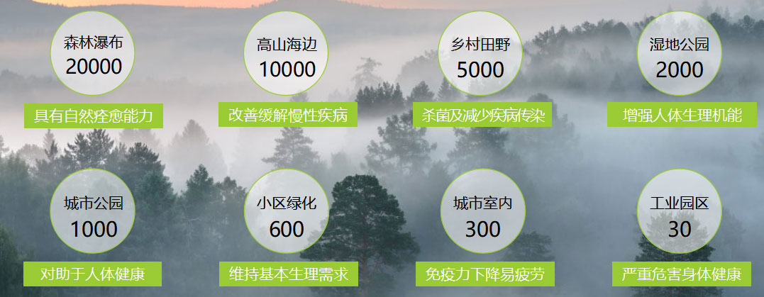 健康养生墙面|让家里的空气,像雨后森林般清新! 健康养生墙面|让家里的空气,像雨后森林般清新!