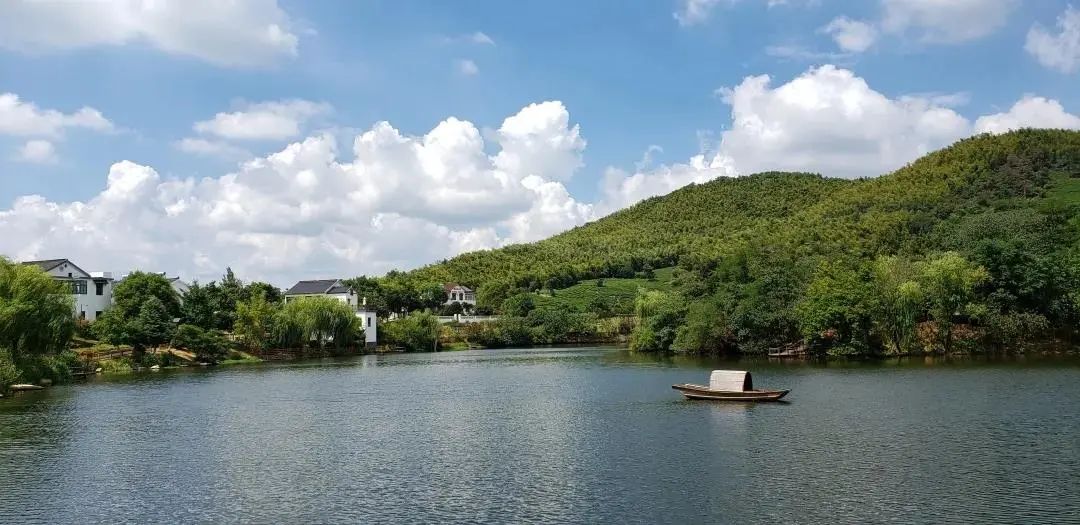 摩登7娱乐团建 | 黄龙岘茶文化村之旅