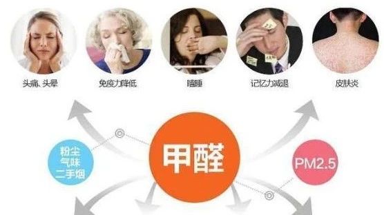 春季家装节,绿色焕新月,优惠享不停! 春季家装节,绿色焕新月,优惠享不停!