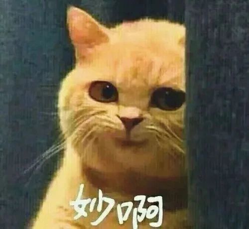 春节发红包 | 体验摩登7娱乐“数字家装”